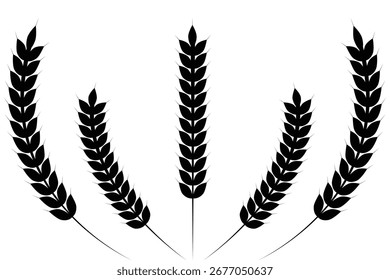 Iconos de desgaste de trigo establecen siluetas de Vector. Colección de Vector de espiguilla de trigo negro. Conjunto de tallo de trigo. Siluetas de plantas de cereales.  Símbolo de la agricultura. Icono de grano Vector. eps 10