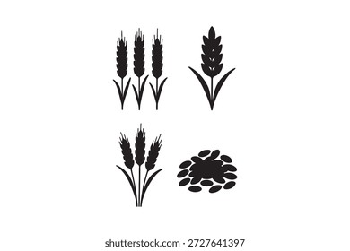 Ícones de orelha de trigo definem silhuetas vetoriais. Coleção de vetores de espigueta de trigo negro. Conjunto de pedúnculo de trigo. Silhuetas de plantas de cereais. silhuetas. ícones vetoriais. Design - eps