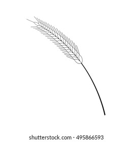 Wheat ear illustration on the white background. Vector illustration