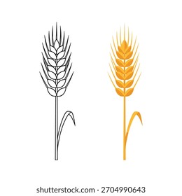 Wheat ear illustrations; outline and colored versions