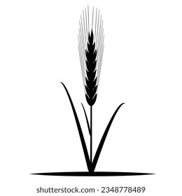 Oreja de trigo con hojas, ilustración vectorial