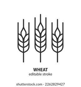 Wheat ear line icon. Barley outline vector sign. Editable stroke.