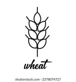 wheat ear line icon, outline vector sign, vector illustration isolated on white background, symbol for organic food design