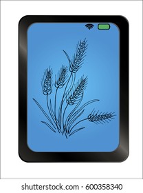 Wheat ear on background plate. Ears of Wheat icon. vector illustration.