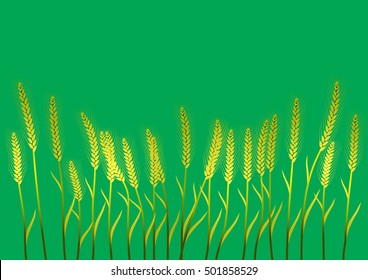 Wheat ear on the field background 