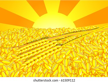 Wheat ear with pile of grain
