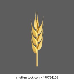 Wheat ear. Realistic vector illustration