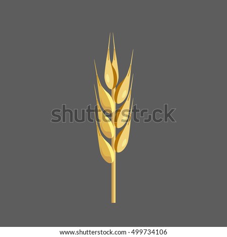 Wheat ear. Realistic vector illustration