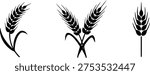 Wheat Ear Silhouette Set Grain Plant Editable EPS10 Vector Illustration