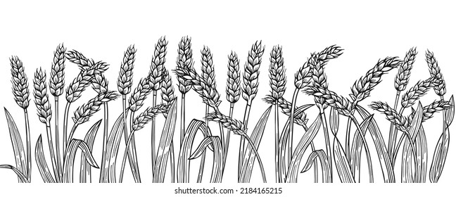 Wheat ear sketch border background. Cereals ripe spike wheat frame horizontal pattern. Agricultural symbol, flour production. Design template farm elements, organic bread, beer packaging label