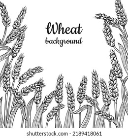 Wheat ear sketch frame background. Design template cereals ripe spike wheat, border pattern. Agricultural doodle symbol, flour production. Organic farm elements, bread beer packaging label vector