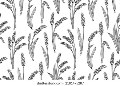 Wheat Ear Sketch Seamless Pattern. Agricultural Abundance Endless Print. Cereals Ripe Spike Wheat Background Wallpaper. Design Farm Ornament, Organic Vegetarian For Bread, Beer Repeat Decor Packaging