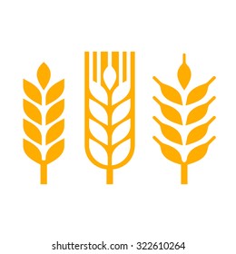 Wheat Ear Spica Icon Set. Vector