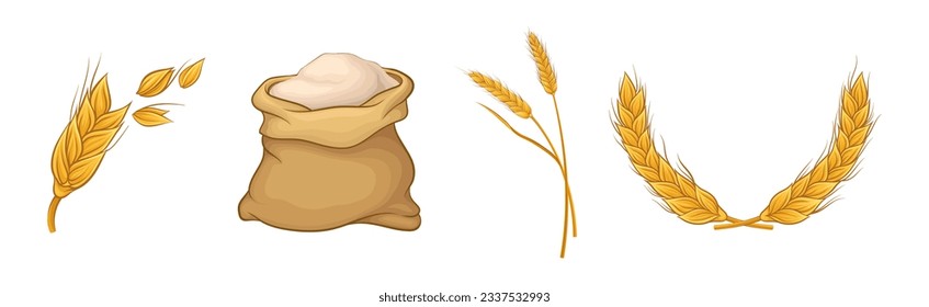Wheat Ear, Spikelet and Flour in Sack Vector Set