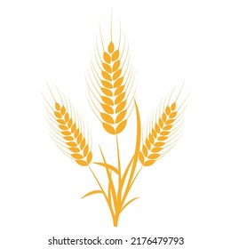 Wheat ear spikelet with grains in cartoon flat style. Vector illustration.