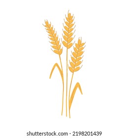 Wheat ear spikelet with grains in cartoon flat style. Vector illustration of cereal grain stem, rye ear, organic vegetarian food for backery, flour production or packaging design.