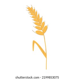Wheat ear spikelet with grains in cartoon flat style. Vector illustration of cereal grain stem, rye ear, organic vegetarian food for backery, flour production or packaging design