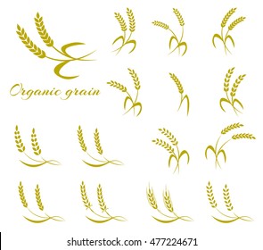 Wheat ear symbols for logo design. Agriculture grain, organic plant, bread food, natural harvest, vector illustration. Vector illustration isolated on white background.