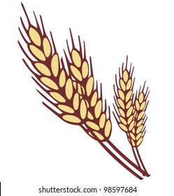 Wheat ear. Vector illustration