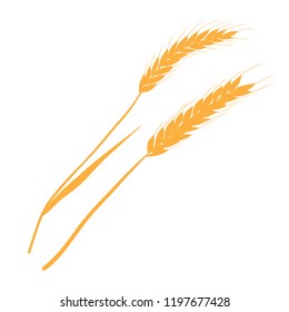 Wheat ear. Vector illustration. Isolated object on white background. Elements for design of Thanksgiving Day, on fall theme.