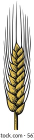 wheat ear - vintage engraved vector illustration (hand drawn style)