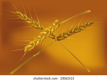 wheat ears
