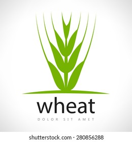 wheat ears
