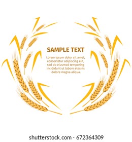 Wheat ears around your text sample on white. Closeup vector illustration with cereals on sticks in shape of wreath near information