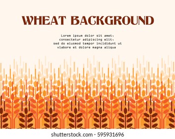 Wheat ears background. Agriculture background. Wheat field