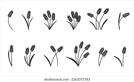 Wheat ears. Barley or rice black silhouette, beer or bakery logo isolated elements, organic farm elements for label and emblem, bread packaging, decorative objects, ripe spikelets, vector set