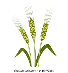 Wheat ears, Barley or Rye vector flat icon ,Shavuot concept. Ideal for bread packaging, beer labels etc. Vector illustration