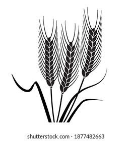 wheat ears black and white, vector illustration