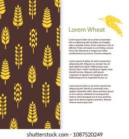 Wheat ears bread banner or posters template. Grains flyer design. Vector illustration