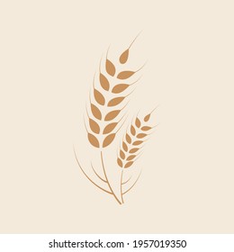 Wheat ears cereal plant grains