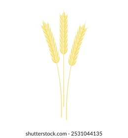 Wheat ears composition, isolated on white. Vector plant illustration.