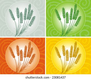 wheat ears design in several color