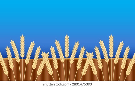 Wheat ears field against a blue-sky background, vector illustration, agriculture concept for harvest design. 