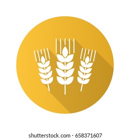 Wheat ears flat design long shadow glyph icon. Barley. Spikes of rye. Vector silhouette illustration