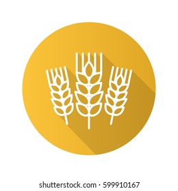 Wheat ears flat linear long shadow icon. Spikes of rye. Barley. Vector line symbol