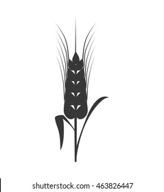 wheat ears food plant agriculture icon. Isolated and flat illustration. Vector graphic