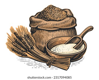 Wheat ears, grains and flour in sack. Organic farm food. Vector illustration