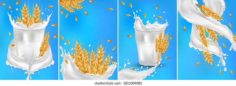 El trigo siembra granos con leche batida o yogur. Cuello de trigo integral amarillo, producto orgánico, agricultura, comida sana. Ilustración de la ilustración del elemento de empaquetado de alimentos. Fijar orejas de trigo realistas. Vector