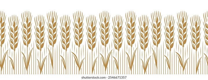 Wheat ears growing in field seamless pattern. Whole wheat stalks and grains for agriculture, baking and healthy eating