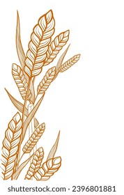 Wheat ears. Hand drawn vector sketch. Place for text. Copy space.