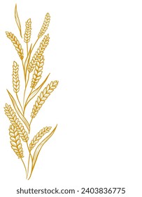 Wheat ears. Hand drawn vector sketch. Place for text. Copy space.