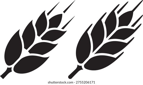 Wheat ears harvest, grain for bread, agricultural cereal crops, food ingredient.