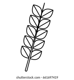 wheat ears icon