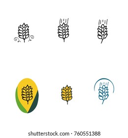 Wheat ears icon. Barley or grain signs. Vector illustration. Sketch. Calligraphy.