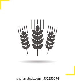 Wheat ears icon. Drop shadow barley silhouette symbol. Spikes of rye. Negative space. Vector isolated illustration