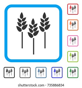 Wheat Ears icon. Flat gray pictogram symbol in a light blue rounded frame. Black, gray, green, blue, red, orange color additional versions of Wheat Ears vector. Designed for web and app interfaces.